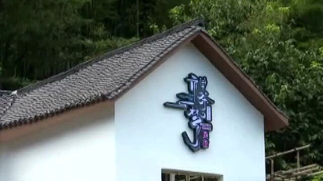 南昌湾里:盘活闲置农房 空心村变民宿村