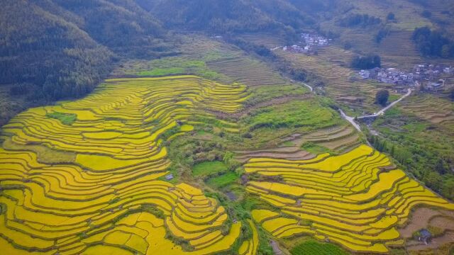 乐昌五山梯田