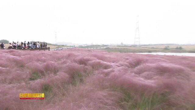 合肥“双减”政策落地 校外培训机构转型忙