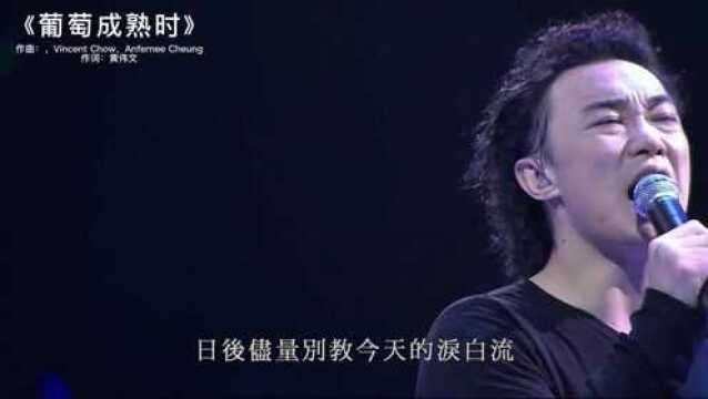 陈奕迅《葡萄成熟时》,演唱会现场版 ,歌声带动全场太精彩了