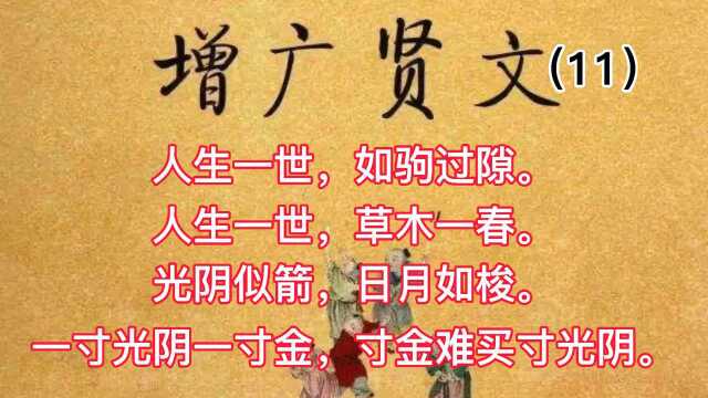 丁丁讲增广贤文11,一寸光阴一寸金,寸金难买寸光阴.