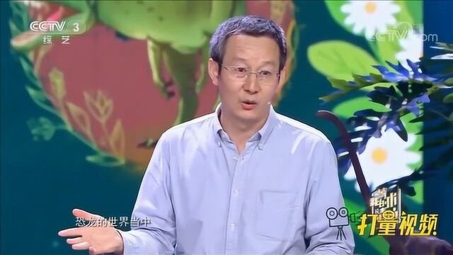 恐龙问答小课堂,鸟类竟也属于恐龙?来听徐星解答