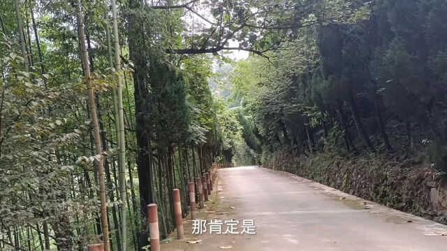 进入人烟罕至的大山,寻觅比大熊猫还要宝贝的神鸟