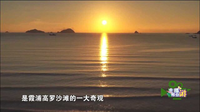 主播带你游霞浦高罗 带台标