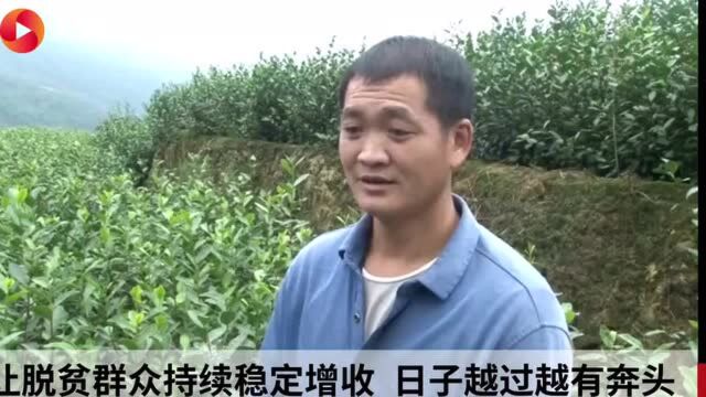 小康圆梦|四川宜宾筠连:种养结合让群众过上好日子