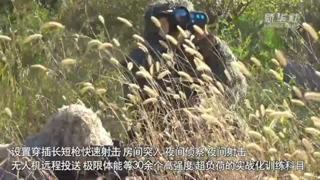 特警出击!全天候山地围捕战斗训练