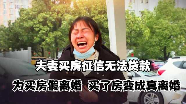 夫妻买房征信无法正常贷款,为买房假离婚,房子有了婚却真的离了,女子欲哭无泪