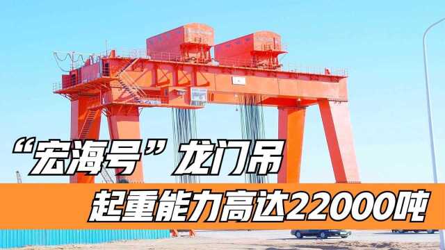 宏海号龙门吊有多厉害?起重能力达22000吨,可吊起400节火车车厢