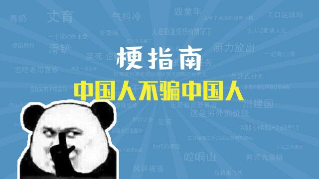 中国人不骗中国人是什么梗【梗指南】