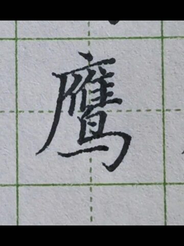 "鹰"字书写示范#硬笔书法硬笔书法#练字技巧#一起练字