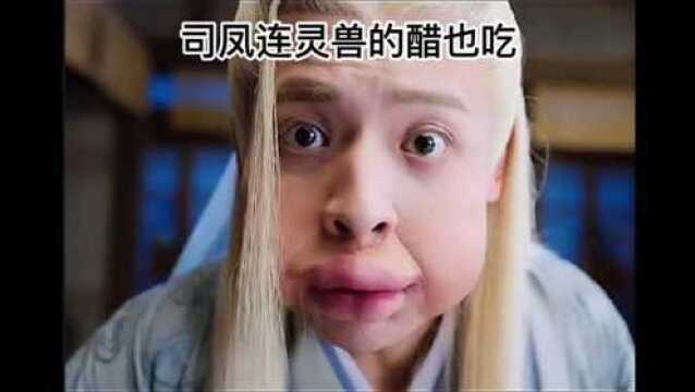 腾蛇太可爱了!