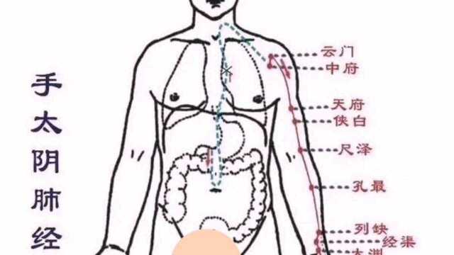 一分钟记穴位