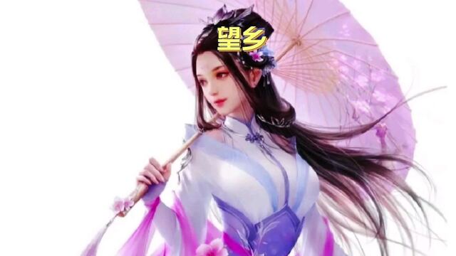 王优秀翻唱的经典老歌(望乡)