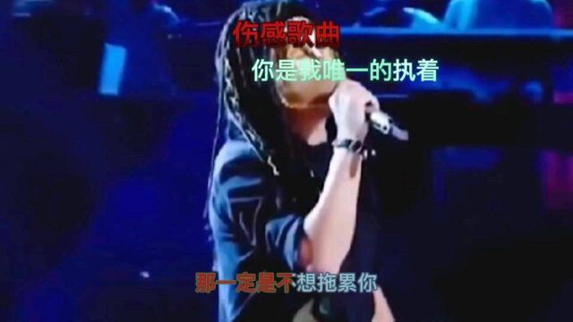 伤感歌曲 之 《你是我唯一的执着》