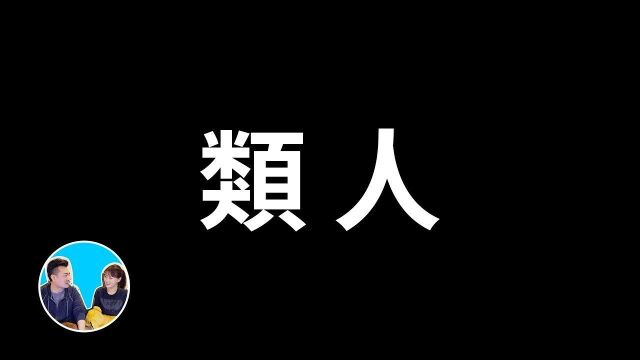 从类人到人类,我们究竟有什么不同?老高与小茉