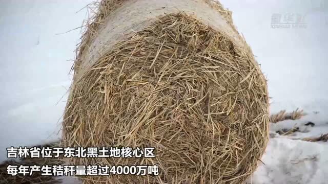 吉林双辽:生物质能供热 低碳又温暖