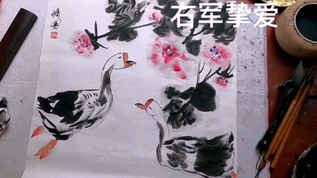 中国画写意花鸟大鹅芙蓉花