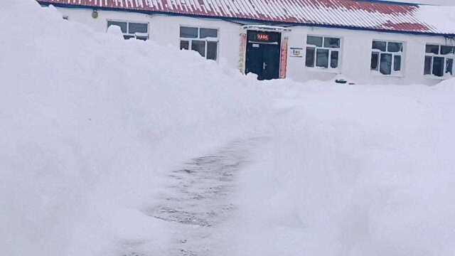 双鸭山暴雪随拍