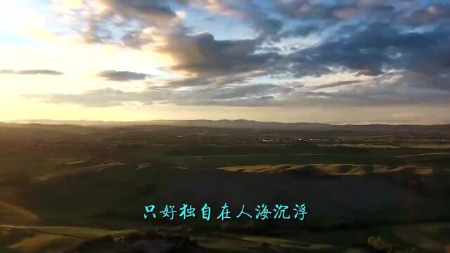 抖音热歌《海来阿木浮生记》好听