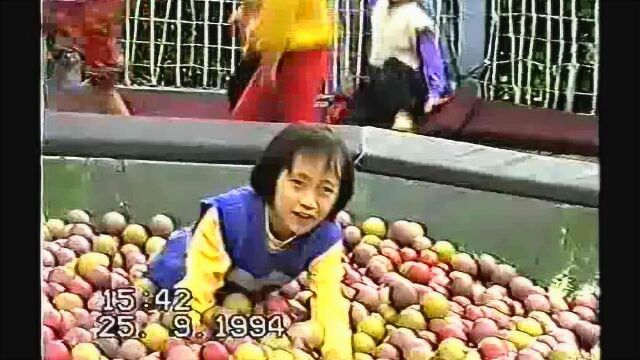 1994年幸福家庭