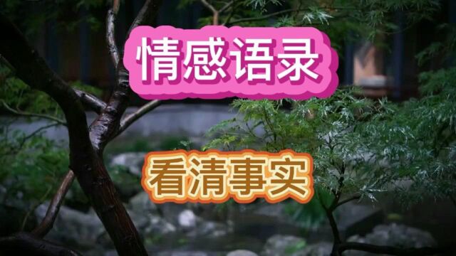 伤感经典扎心语录