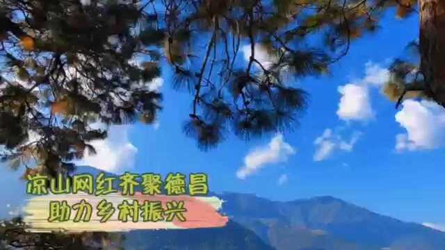 凉山州开展电子商务和短视频传播培训活动