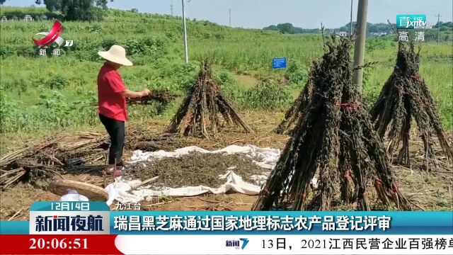 瑞昌黑芝麻通过国家地理标志农产品登记评审