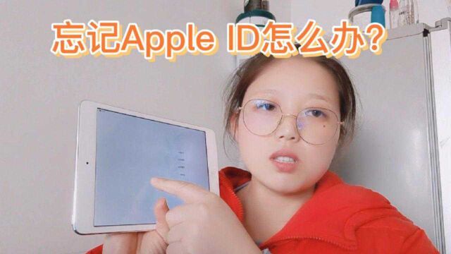 忘记Apple ID该怎么办?按照兰哥说的来操作下,希望可以帮助到你