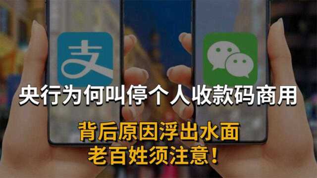 央行为何叫停个人二维码收款?保护大家财产安全,给平民百姓造福