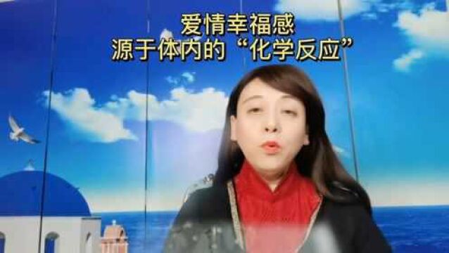 婚恋心理:爱情幸福感源于体内的“化学反应”