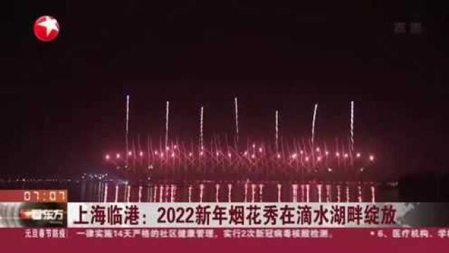 上海临港:2022新年烟花秀在滴水湖畔绽放