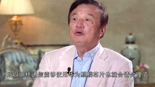 Nova系列也卖了?鼎桥完整产品线曝光,网友:就像华为的“分身”