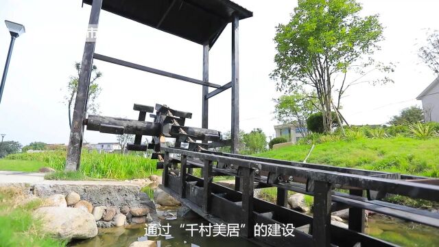 《午间看点》栏目报道江苏省电视台播出——常熟市常福街道明晶村