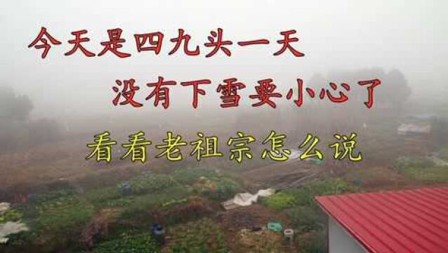 今天进入四九,晴天不下雪有啥预兆?看老祖宗留下的农谚咋说