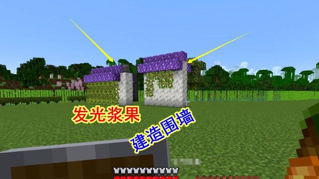 1.18生存32:老迪别出心裁,用发光浆果和紫水晶块建造围墙