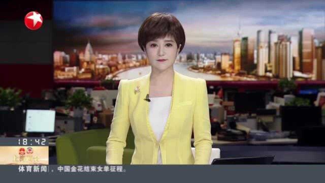 上海两会:五个新城“一城一特” 加快推进数字化转型