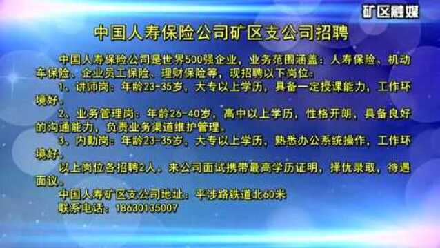 中国人寿保险公司矿区支公司招聘