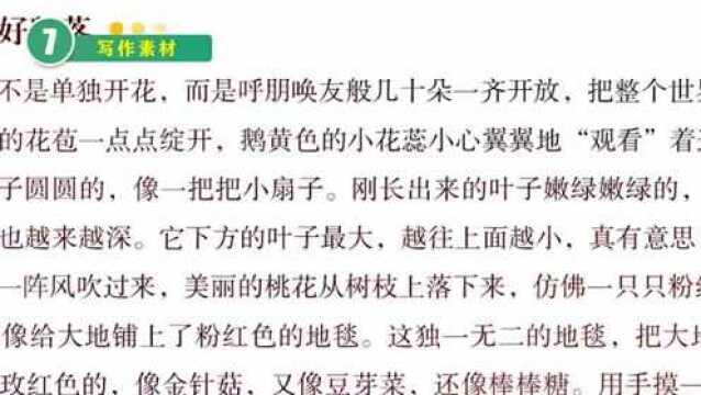 保姆级作文指南!那些特级教师的作文教案终于被扒出来了?