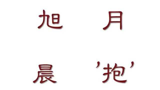 《旭月晨“抱”19》NMT&国自然9:遗传演化多样性(打破技术局限)【许越博主】