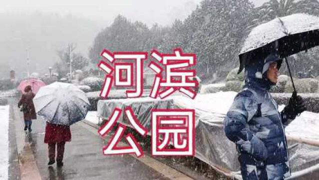 正月初二实拍云南曲靖河滨公园,下雪到处银装素裹,太美了