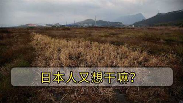 日本人曾在山东租1500亩地,却闲置5年啥也不干,真实目的到底是什么