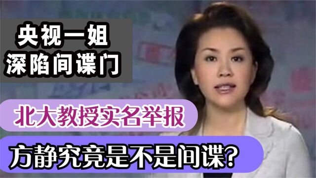 北大副教授实名举报!央视一姐方静深陷间谍门,44岁客死台湾!