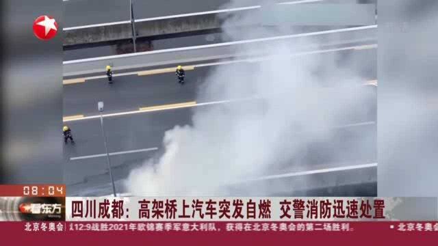 四川成都:高架桥上汽车突发自燃 交警消防迅速处置