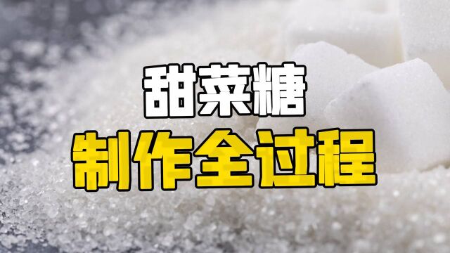 探访白糖工厂:六斤甜菜才能做一斤白糖?白糖究竟是如何制作的? 