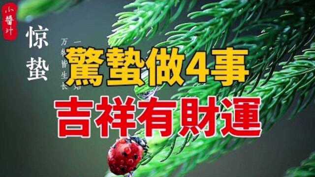 命理运势:惊蛰做好4件事,吉祥有财运,顺顺利利一整年!