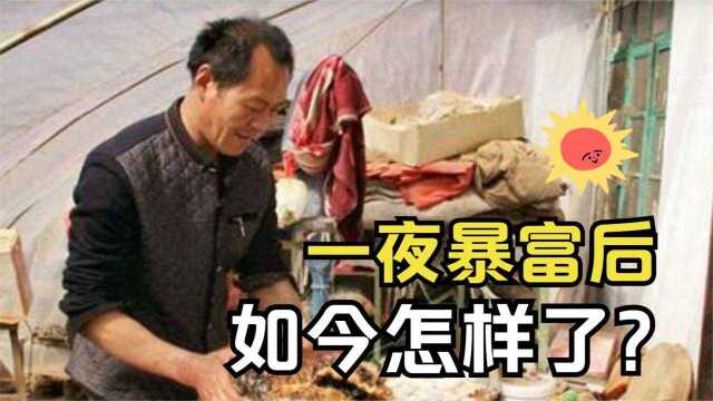 农民王德成5年前捡到140斤太岁,净赚300万后,现在他生活的怎样