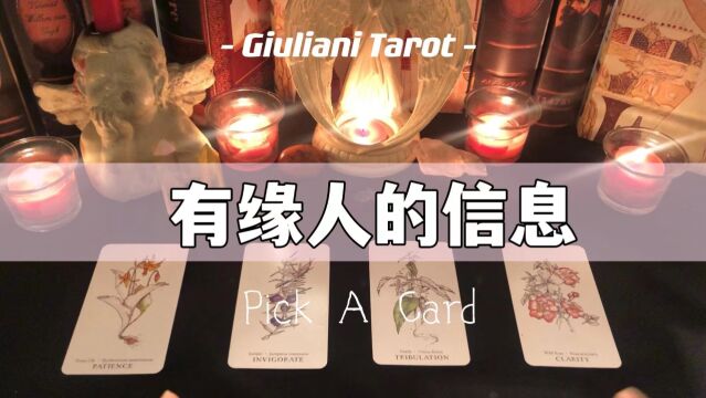 塔罗|有缘人才能看到的信息 Pick A Card