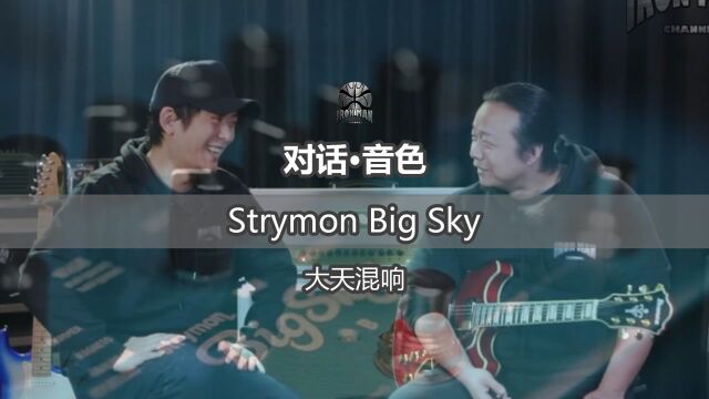 对话ⷩŸ𓨉𒠠大天混响 Strymon BigSky