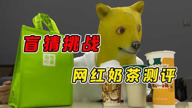 盲猜奶茶大挑战:没人能拒绝奶茶,你们平时最爱喝什么?