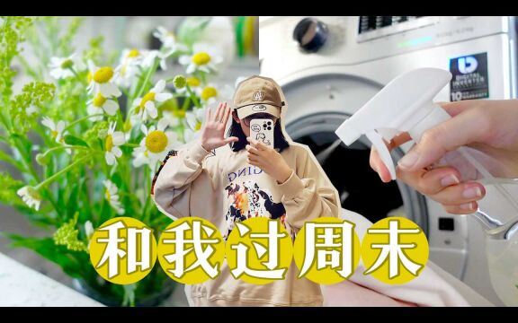 周末VLOG|一起洗衣服|洗护用品分享|快递大开箱|本周的花